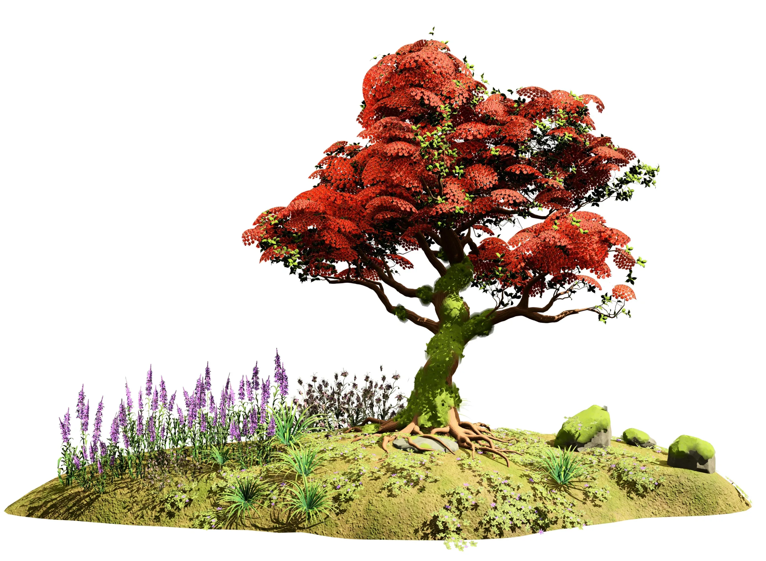 Red Royal Poinciana trees