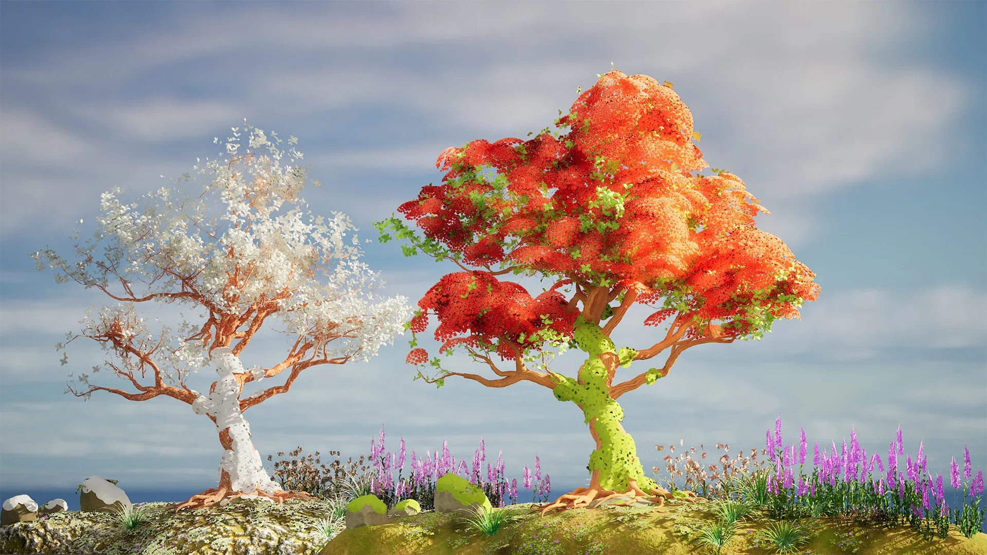 Red Royal Poinciana trees