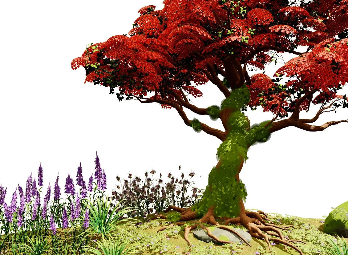 Red Royal Poinciana trees