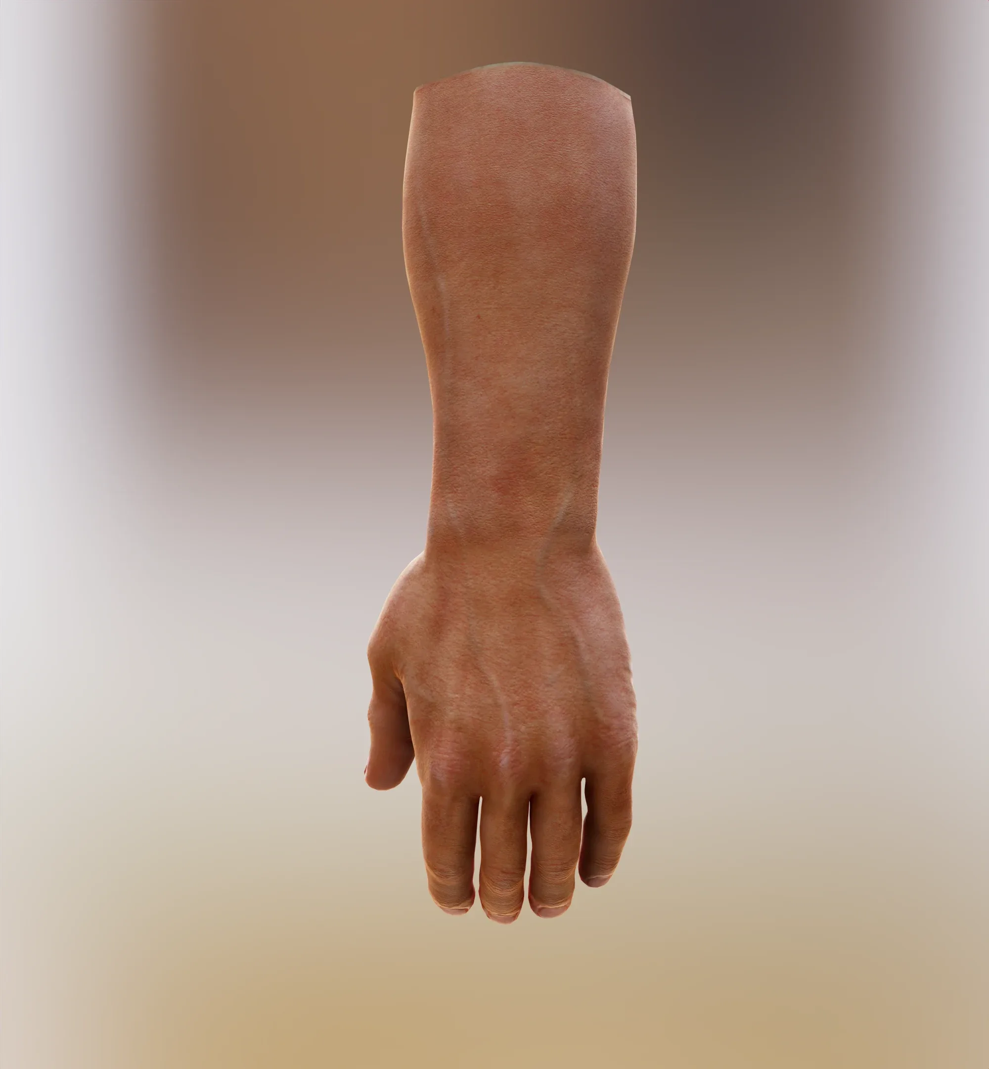 Hand Lowpoly PBR