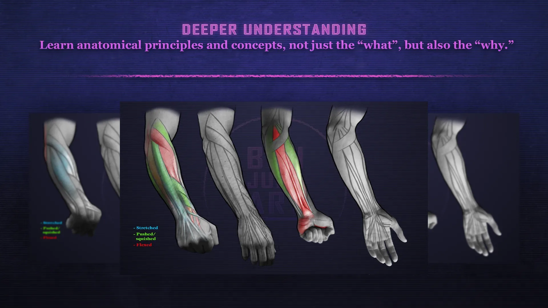 Forearm Anatomy in Motion: A Comprehensive Guide - Ultimate Understanding Package