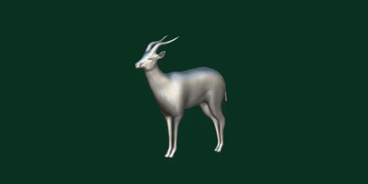 Springbok Antelope Animal