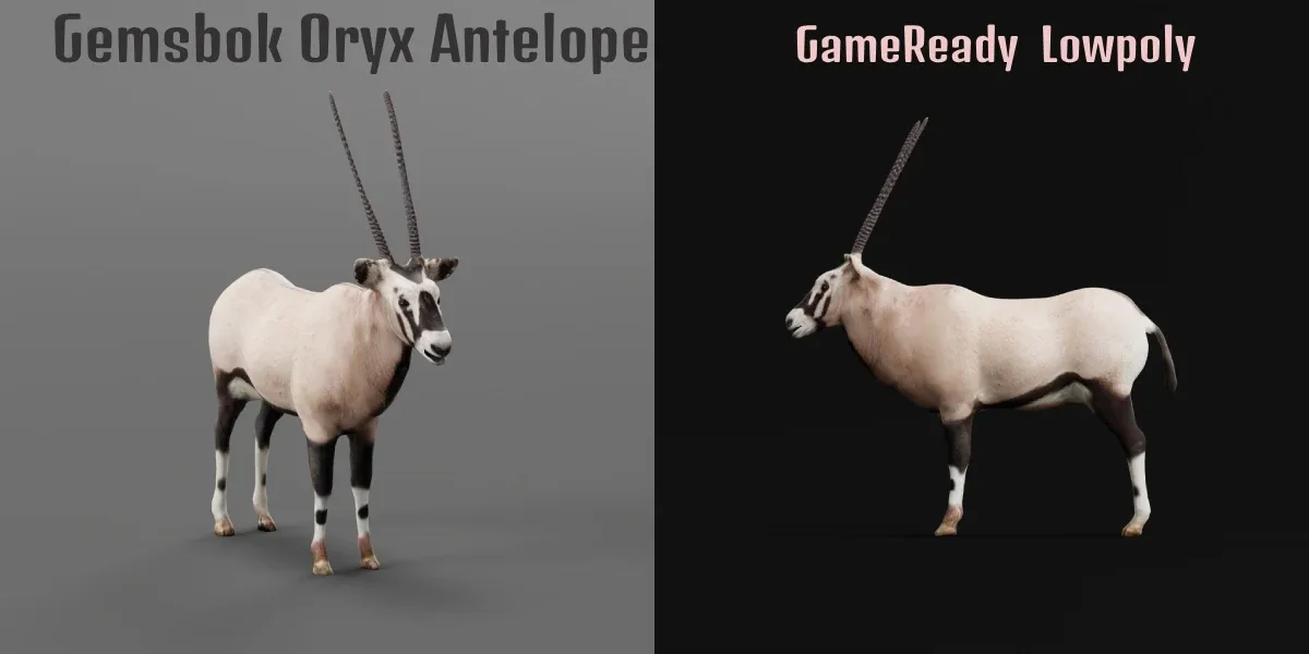 Gemsbok Oryx Antelope