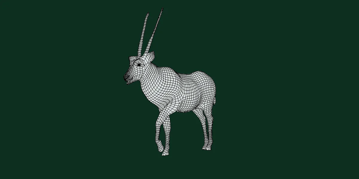 Gemsbok Oryx Antelope