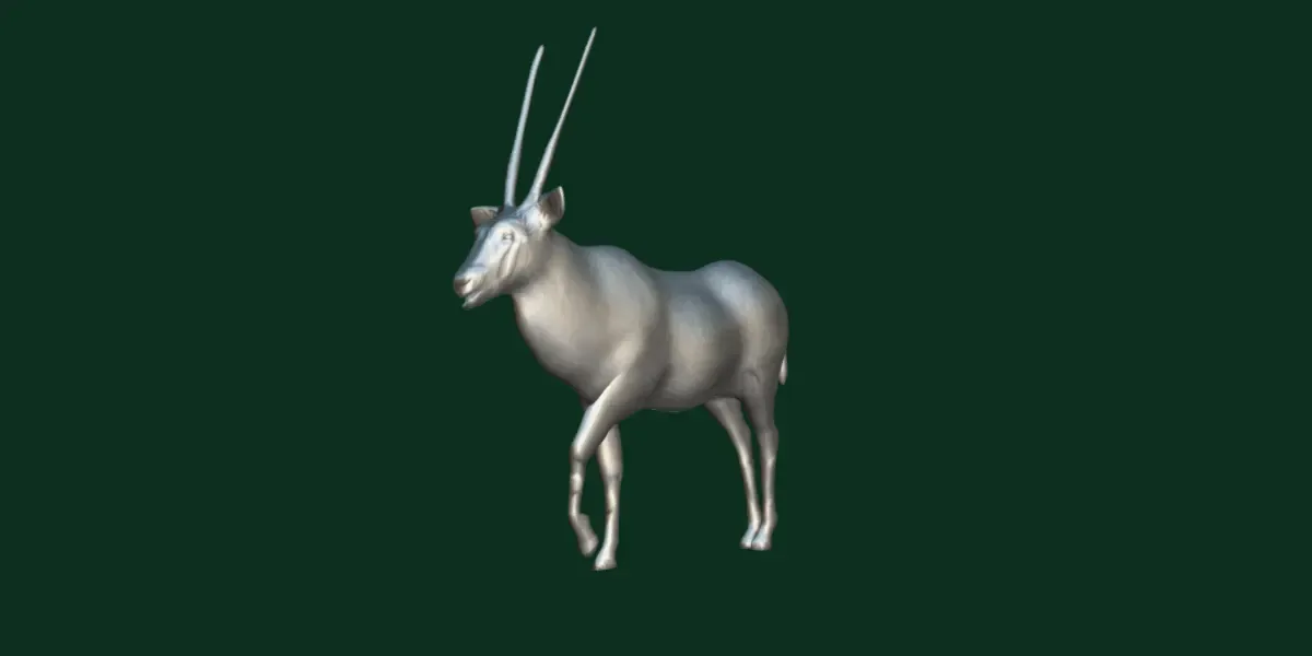 Gemsbok Oryx Antelope