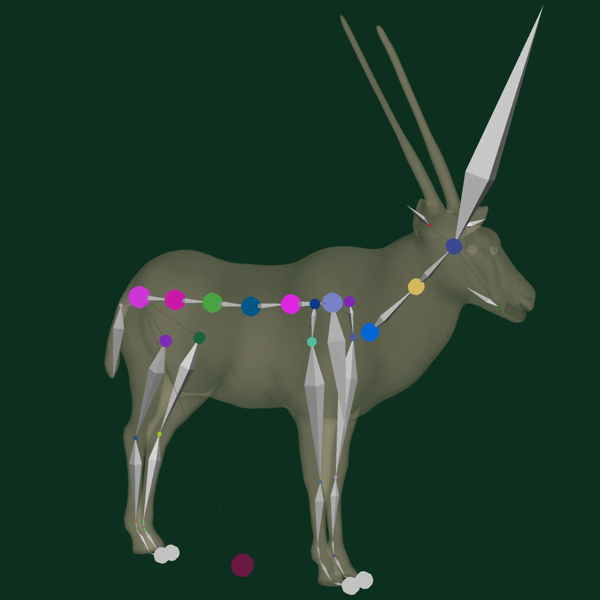 Gemsbok Oryx Antelope