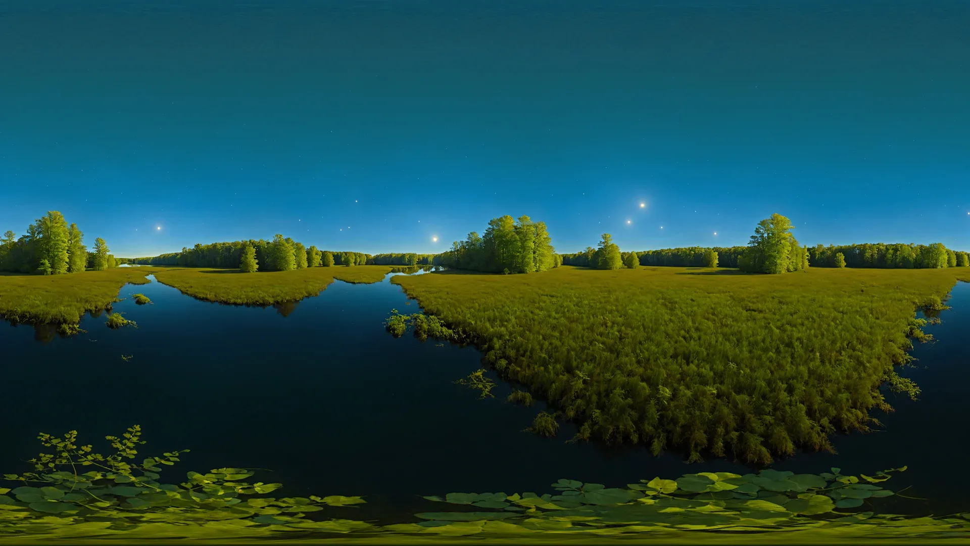 50 HDRI Wetlands and Swamps Panoramas - 360 Spherical Maps