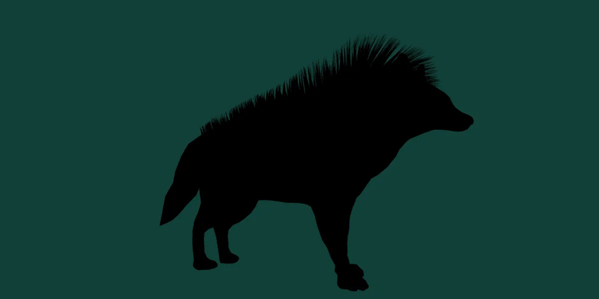 Aardwolf Hyena Animal