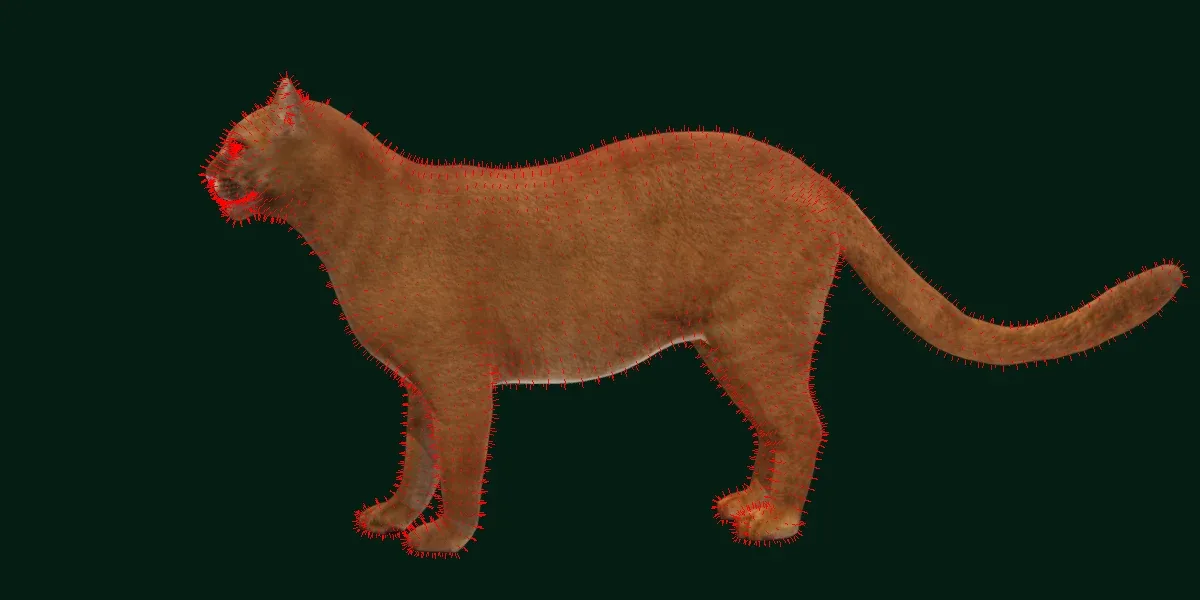 Jaguarundi Wildcat