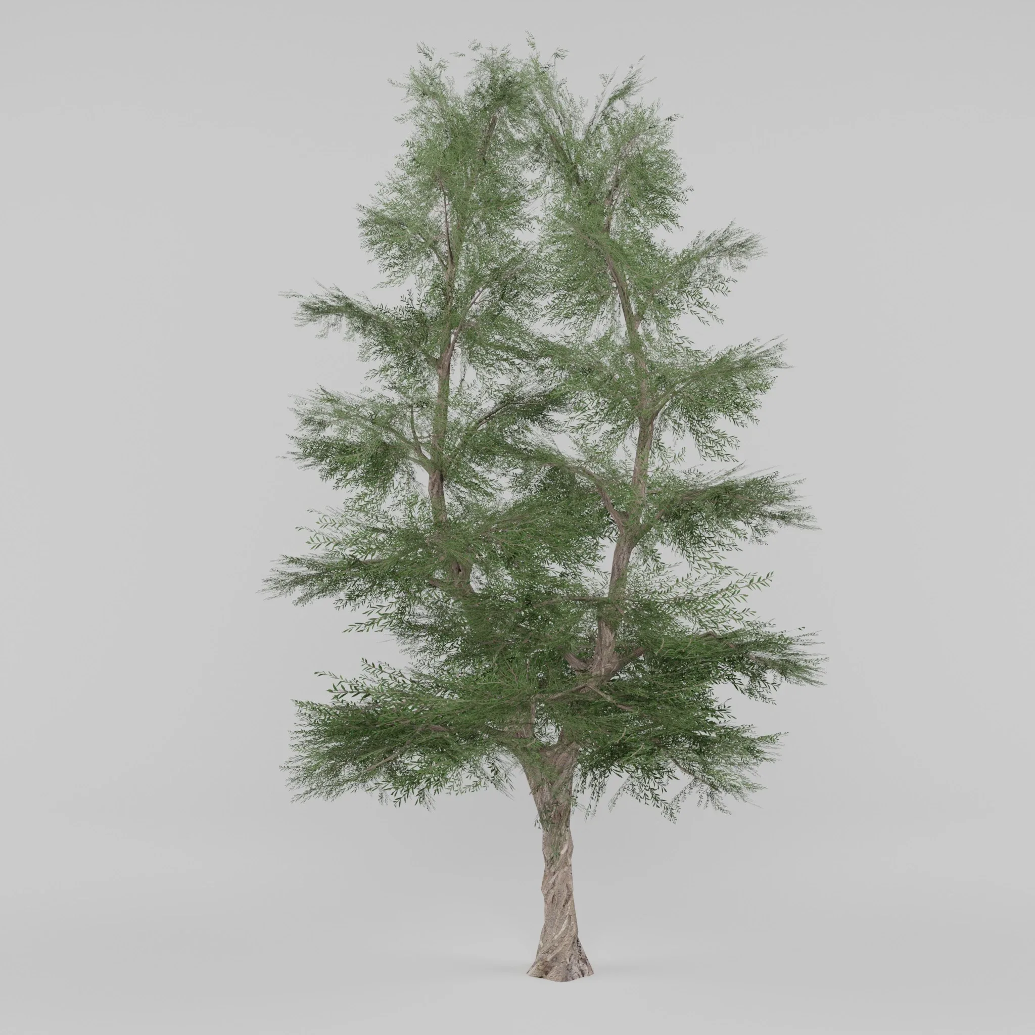 Tree Collection 2