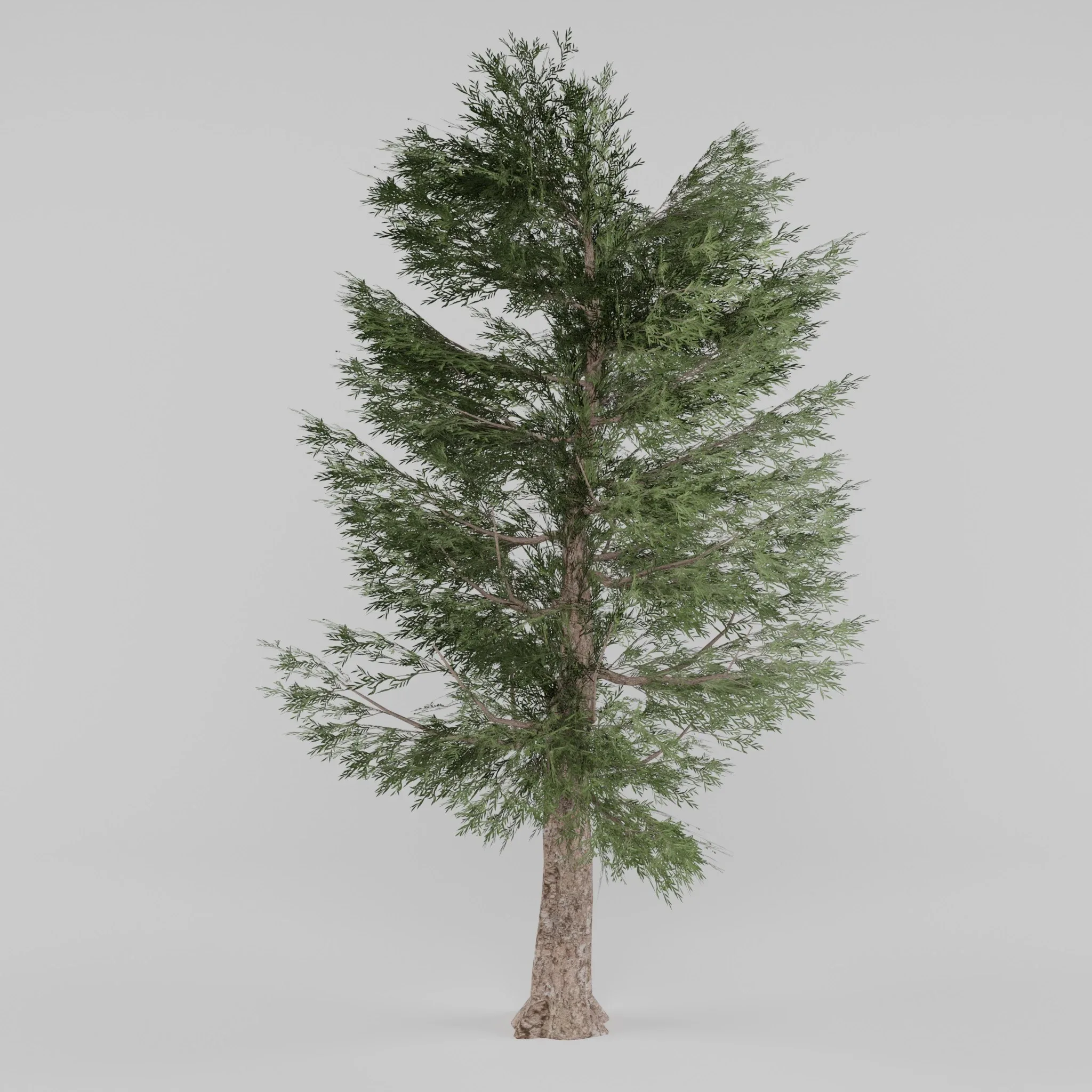 Tree Collection 2