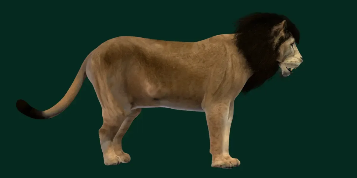 Egyptian Lion Animal