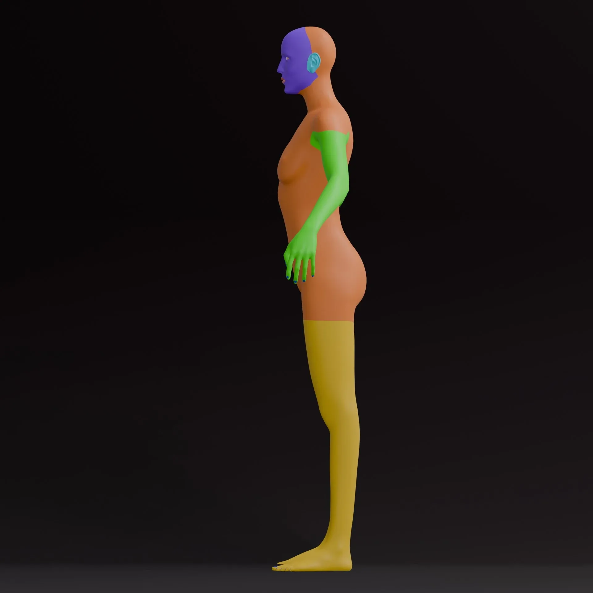 Woman Base Mesh Thin Body Shape
