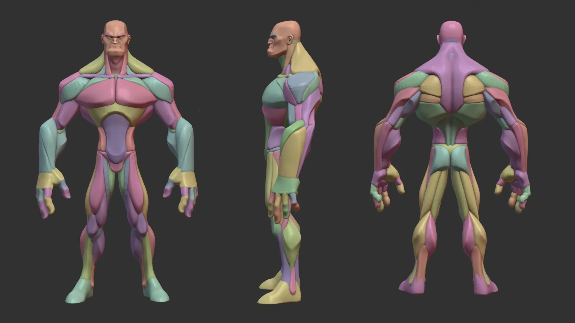 Stylized Hero Anatomy v3