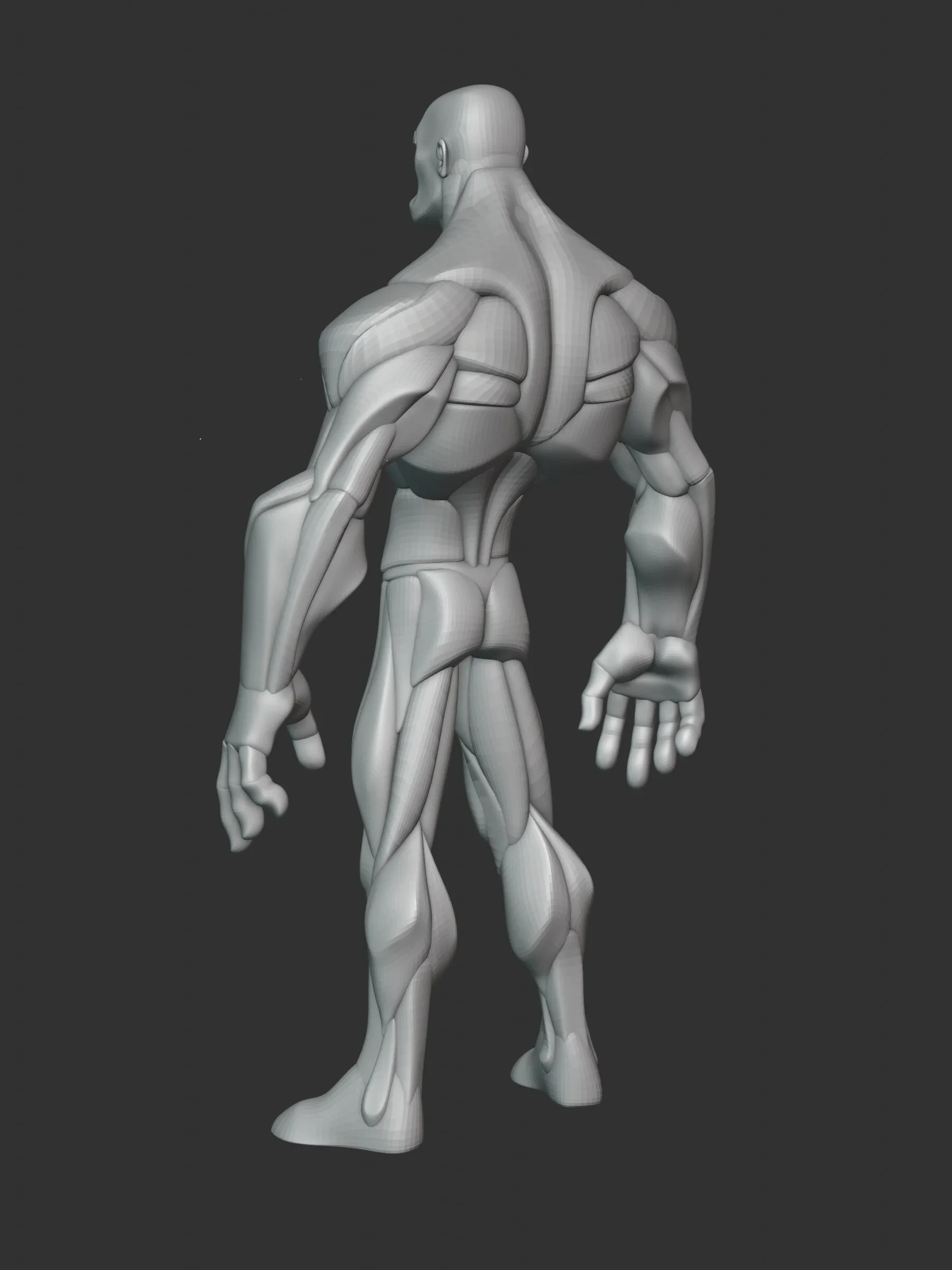 Stylized Hero Anatomy v3