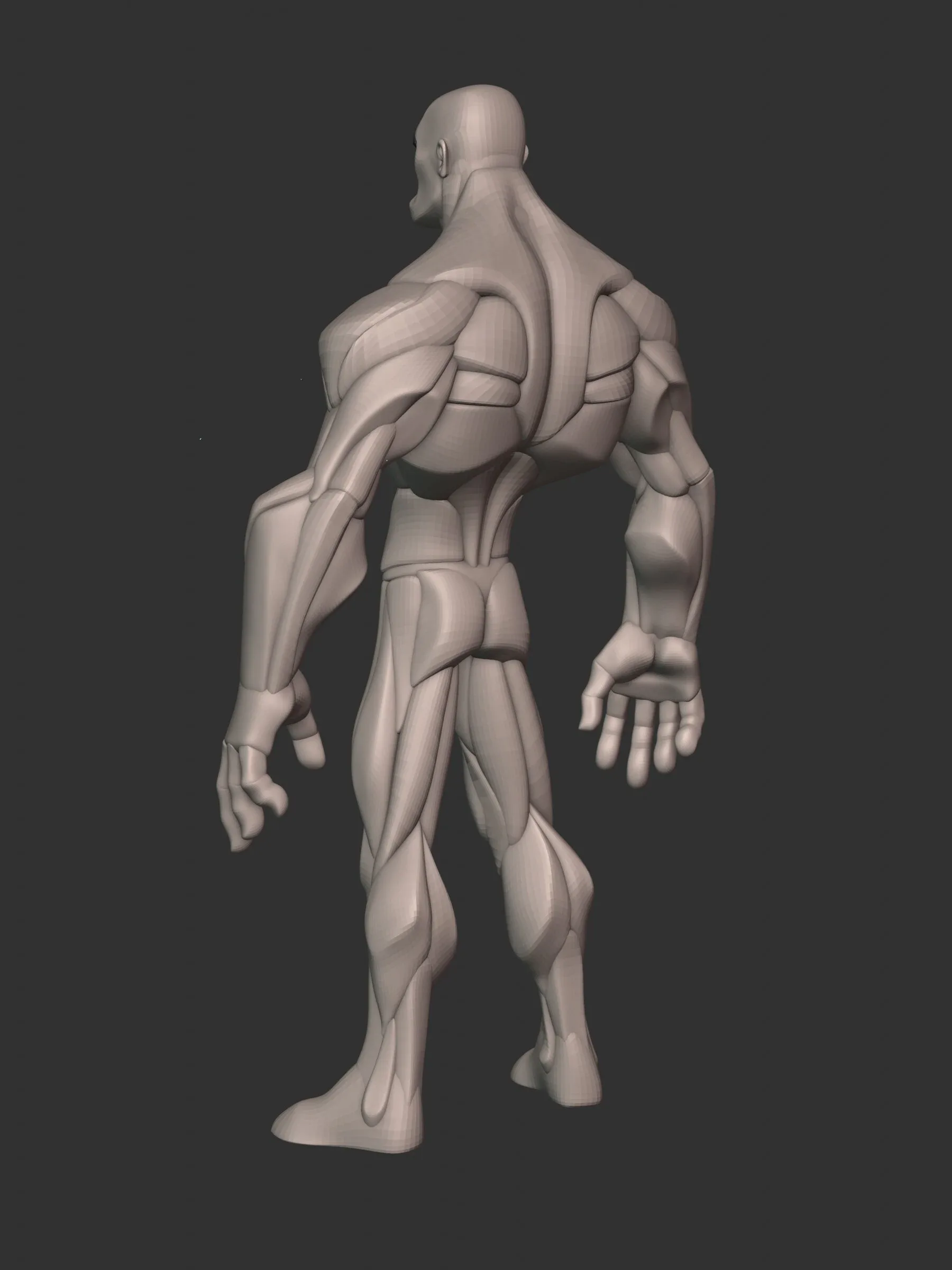 Stylized Hero Anatomy v3