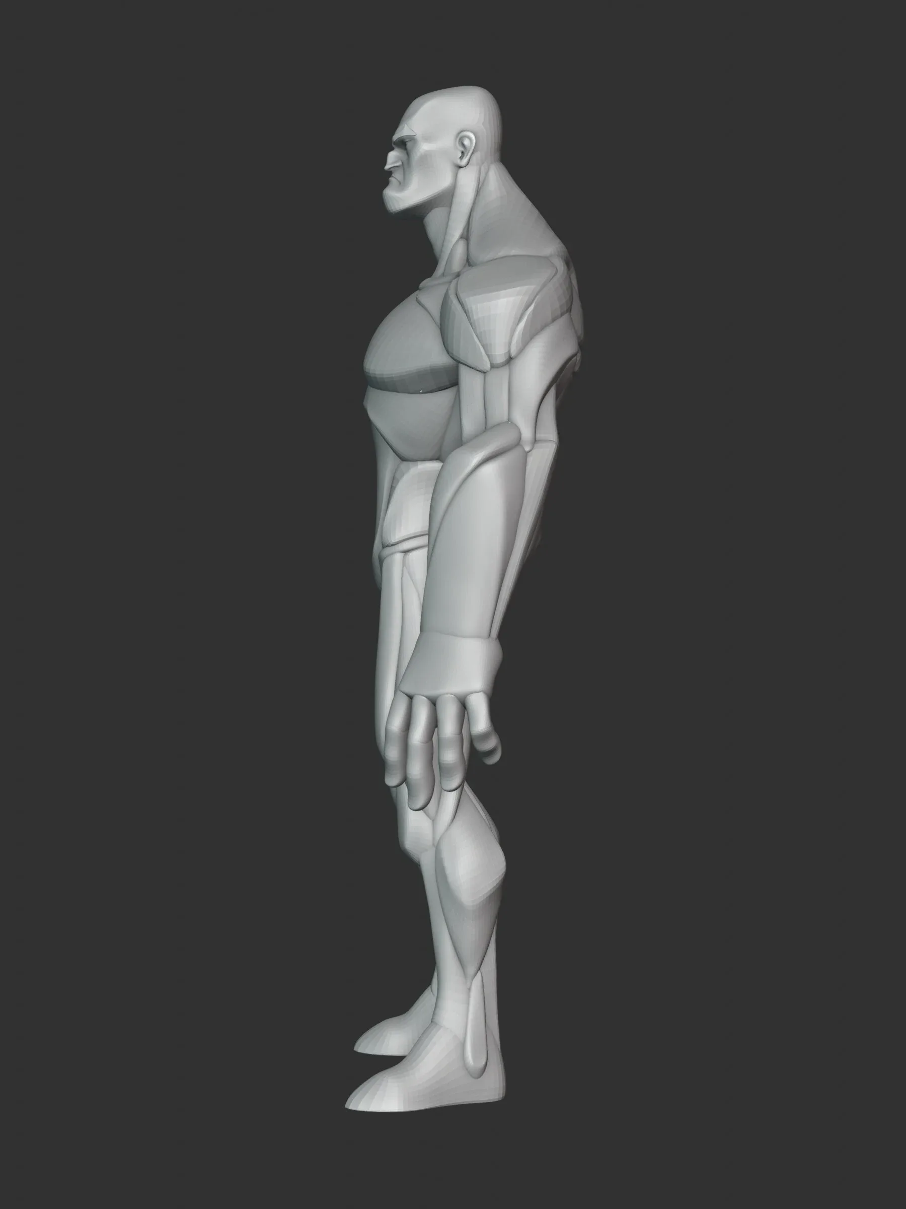 Stylized Hero Anatomy v3