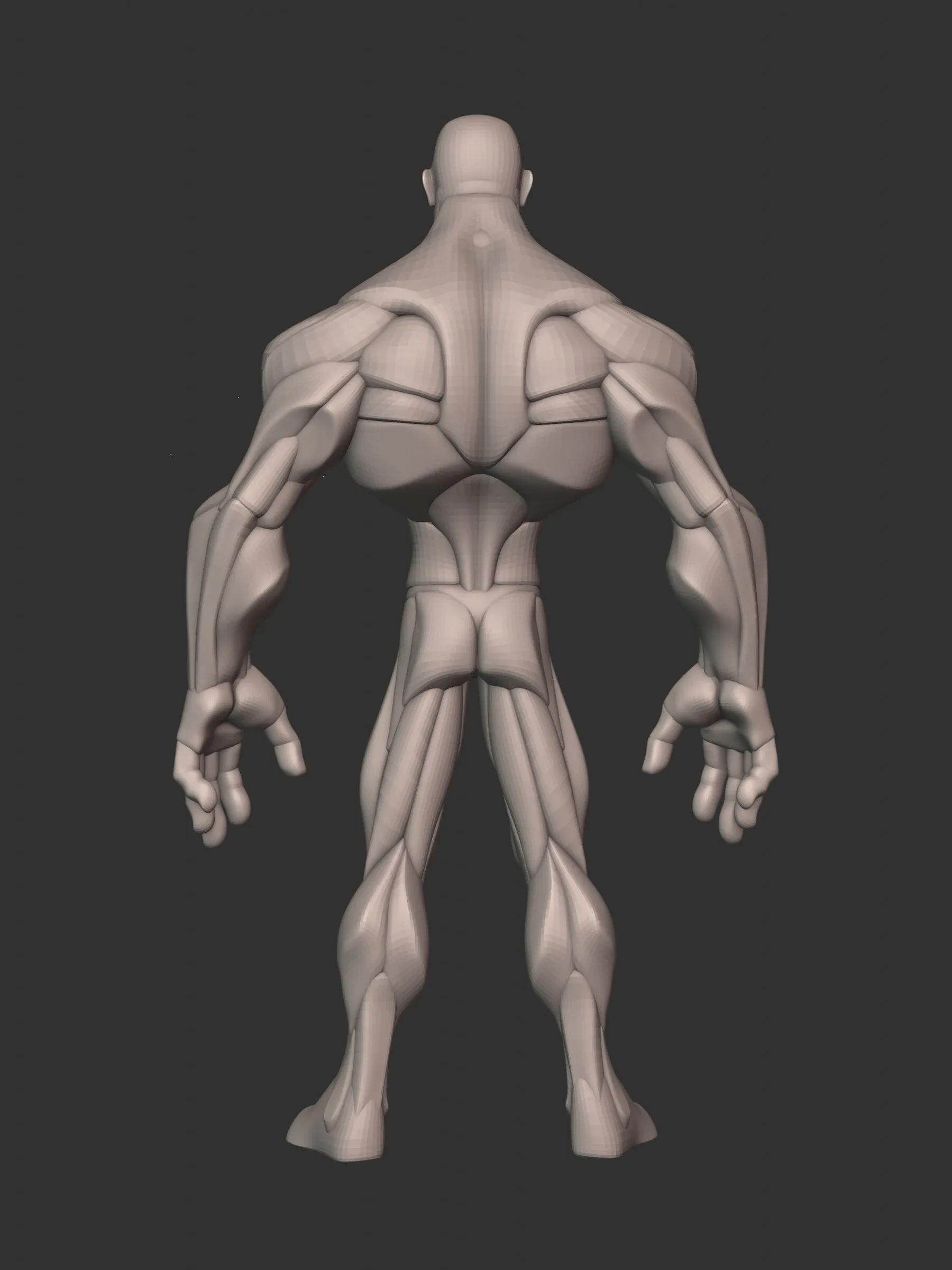 Stylized Hero Anatomy v3