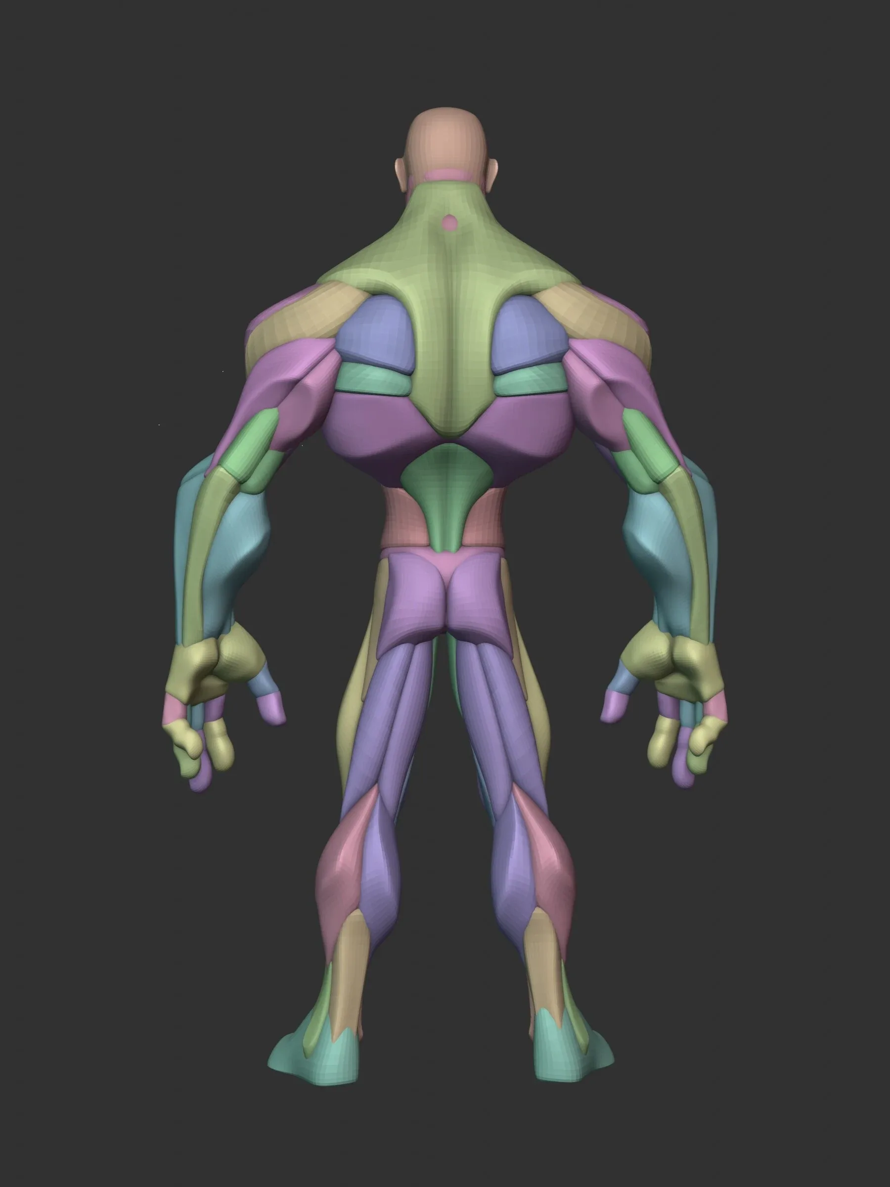 Stylized Hero Anatomy v3