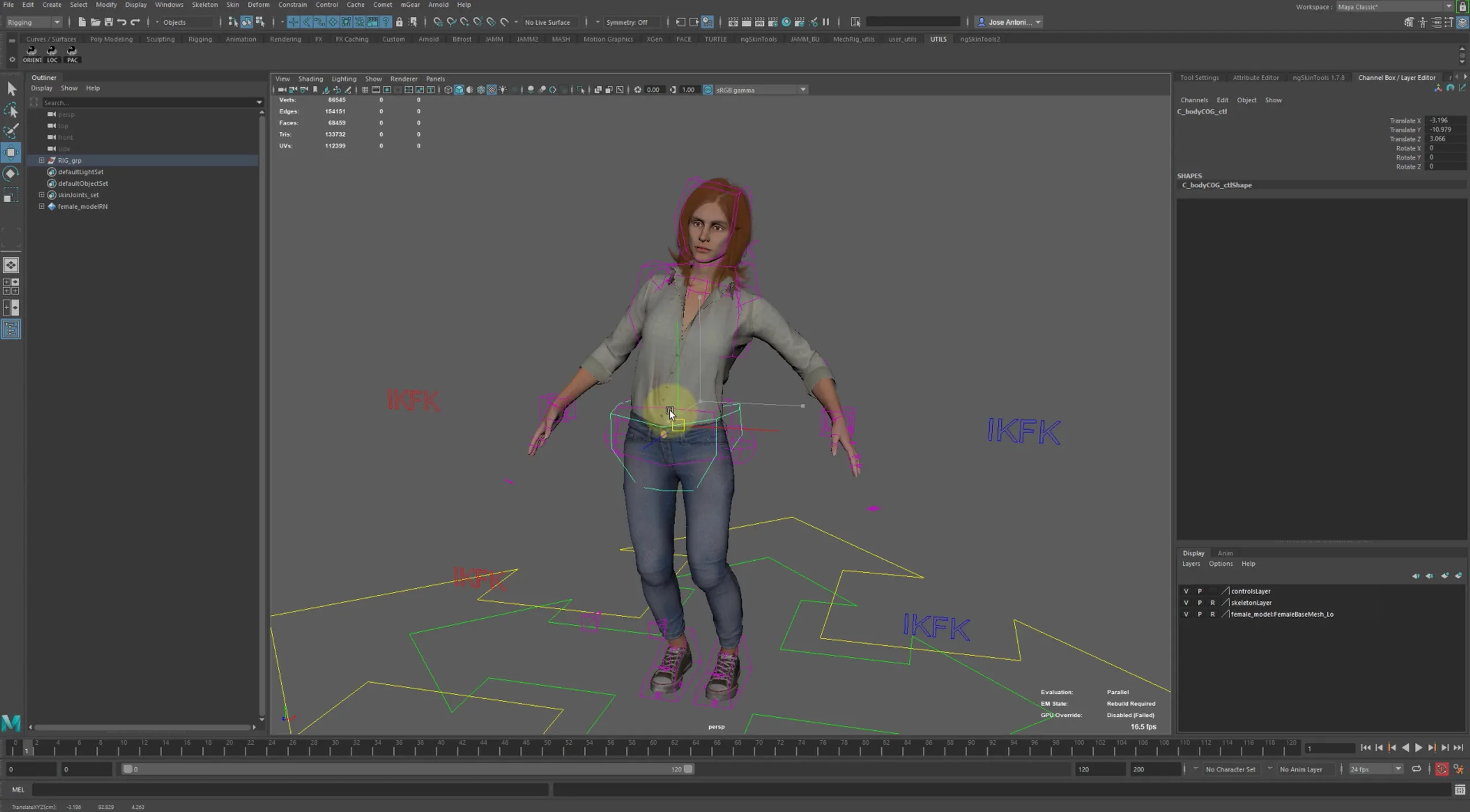 Rigging BUNDLE - Body and Face Rigging
