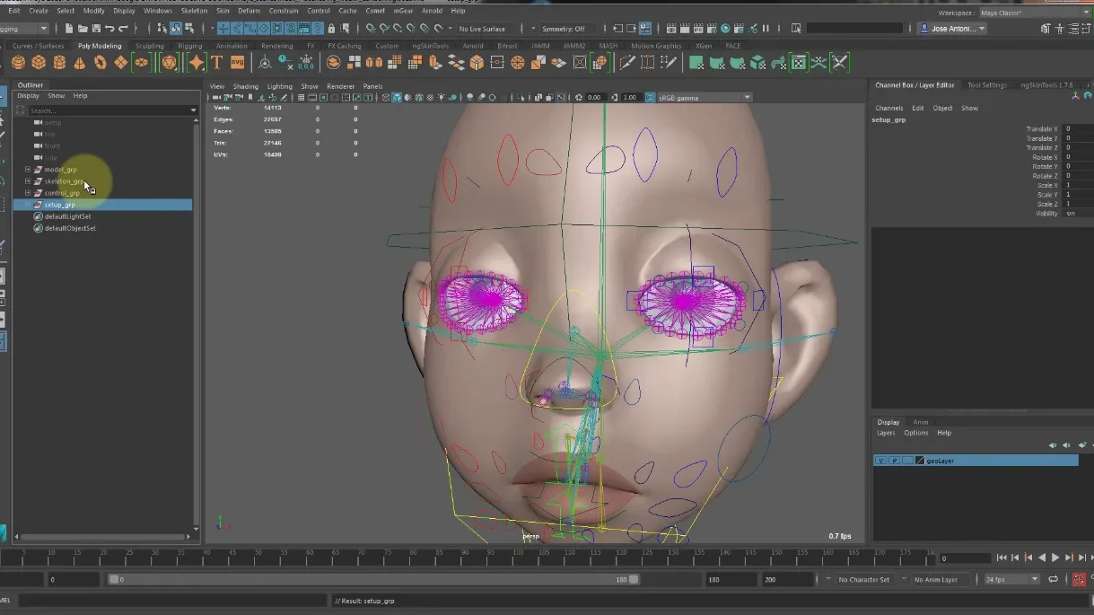 Rigging BUNDLE - Body and Face Rigging