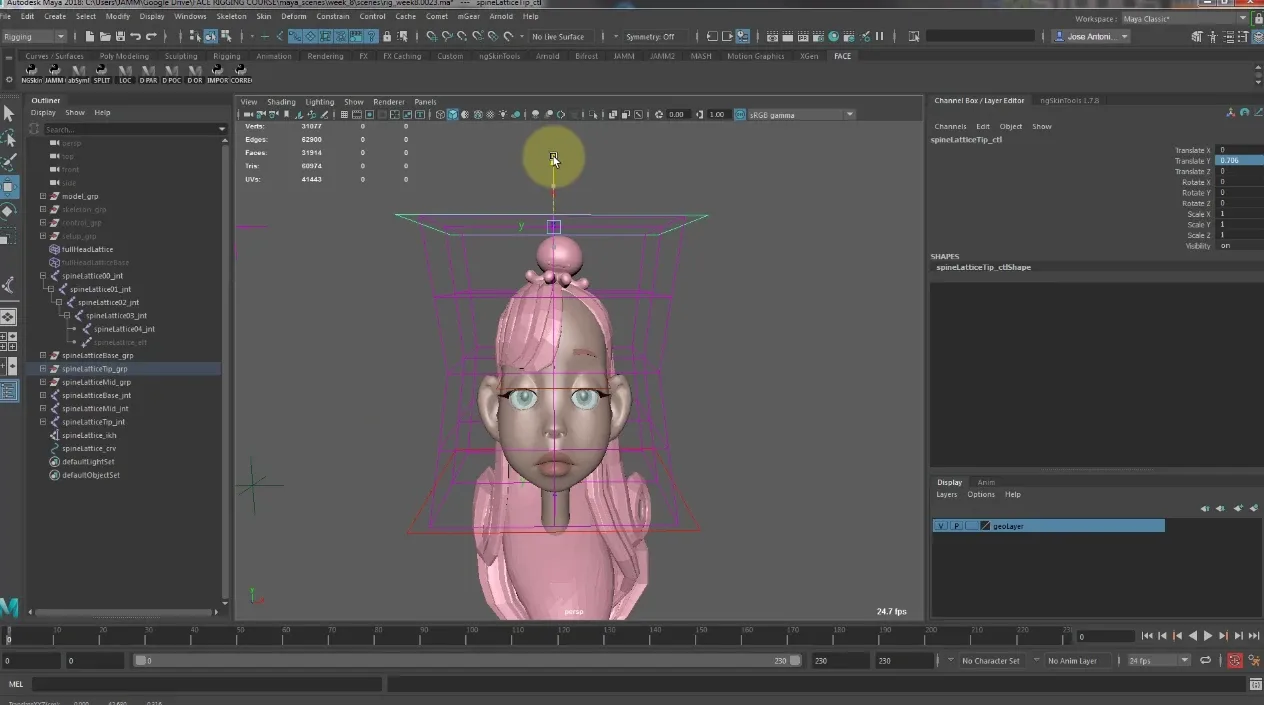 Rigging BUNDLE - Body and Face Rigging