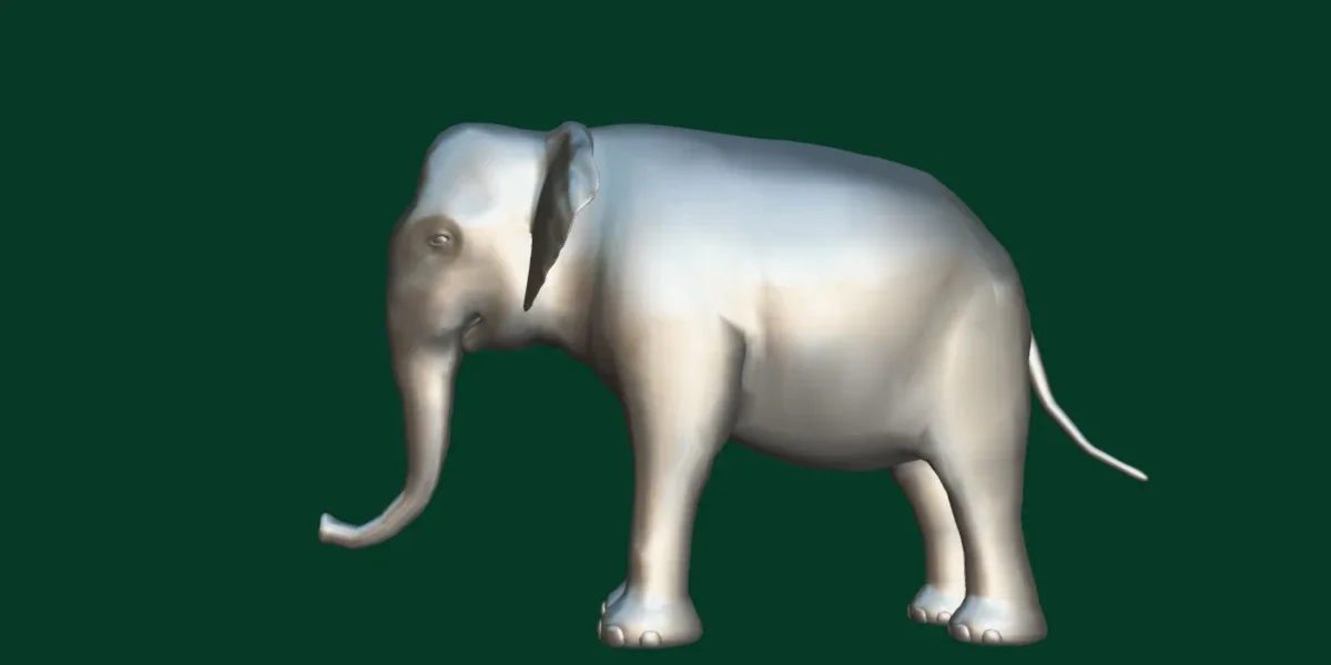 Asian Elephant Adult