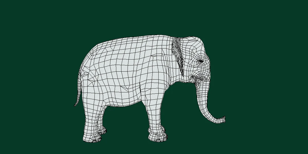 Asian Elephant Adult