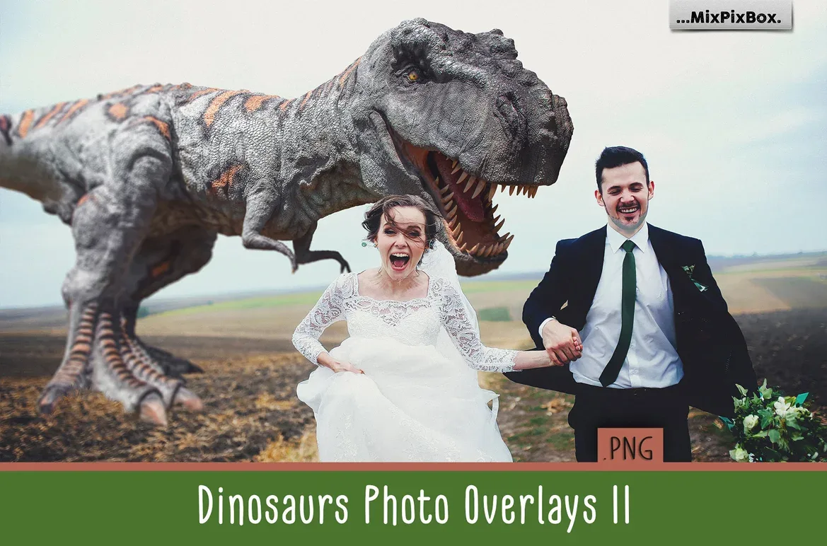 Dinosaur v.2 overlays