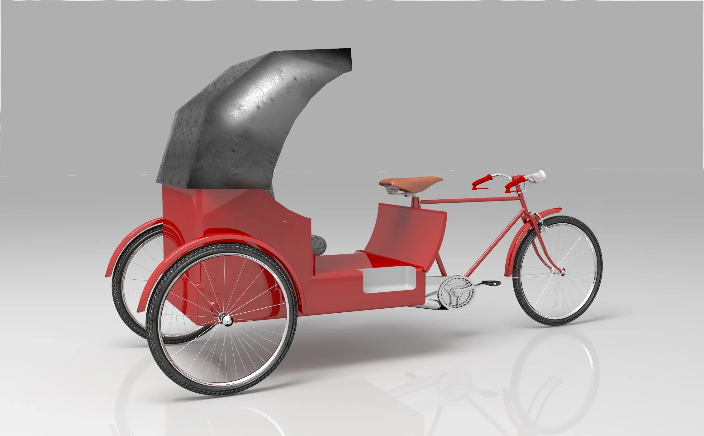 Bike Rickshaw 3