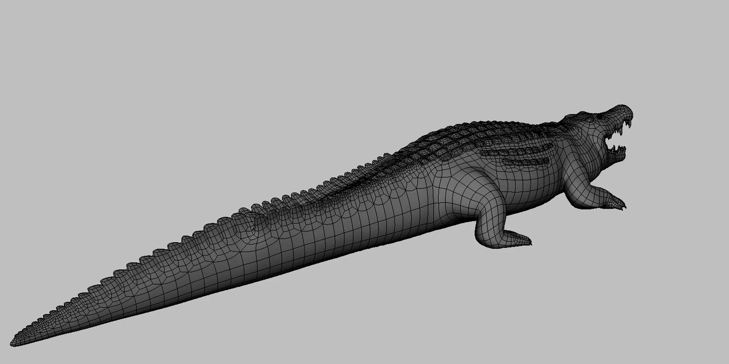 Crocodile BaseMesh - Topology + UV Map