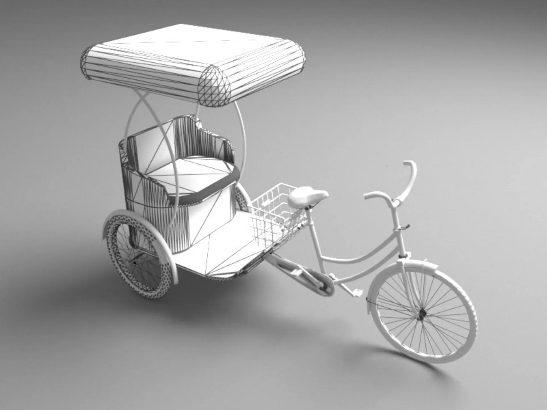 Bike Rickshaw 4