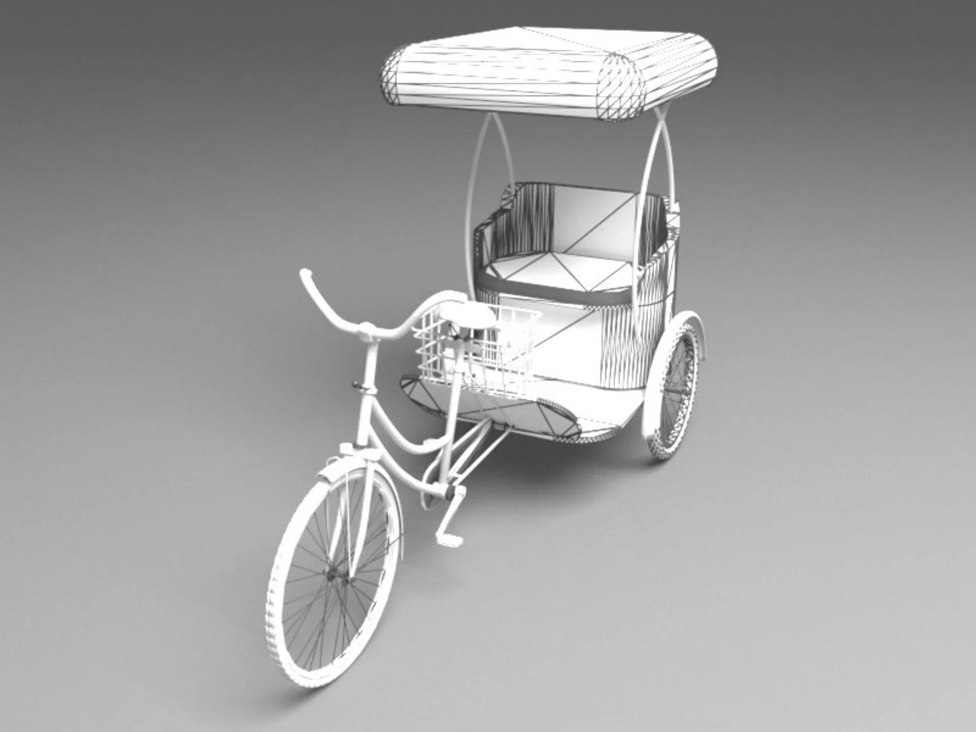 Bike Rickshaw 4