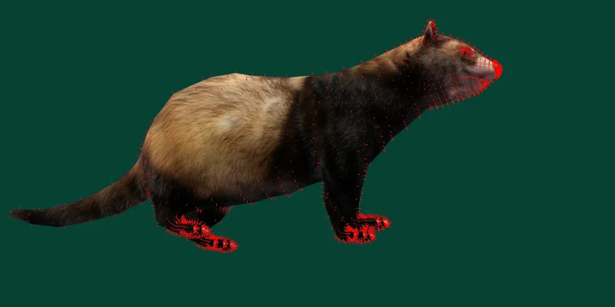 European Polecat Mammal