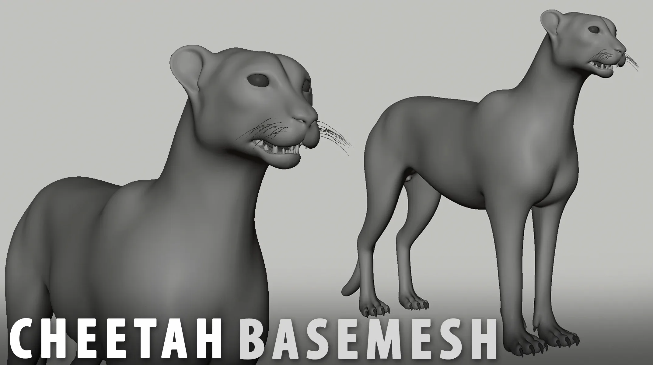 Animals Basemesh ( Rhino, Giraffe, Elephant, Buffalo, Hippopotamus, Wildebeest, Zebra, Male & Female Lion, Cheetah, Leopard, Hyena, Gazelle, Warthog, Monkey, Crocodile)