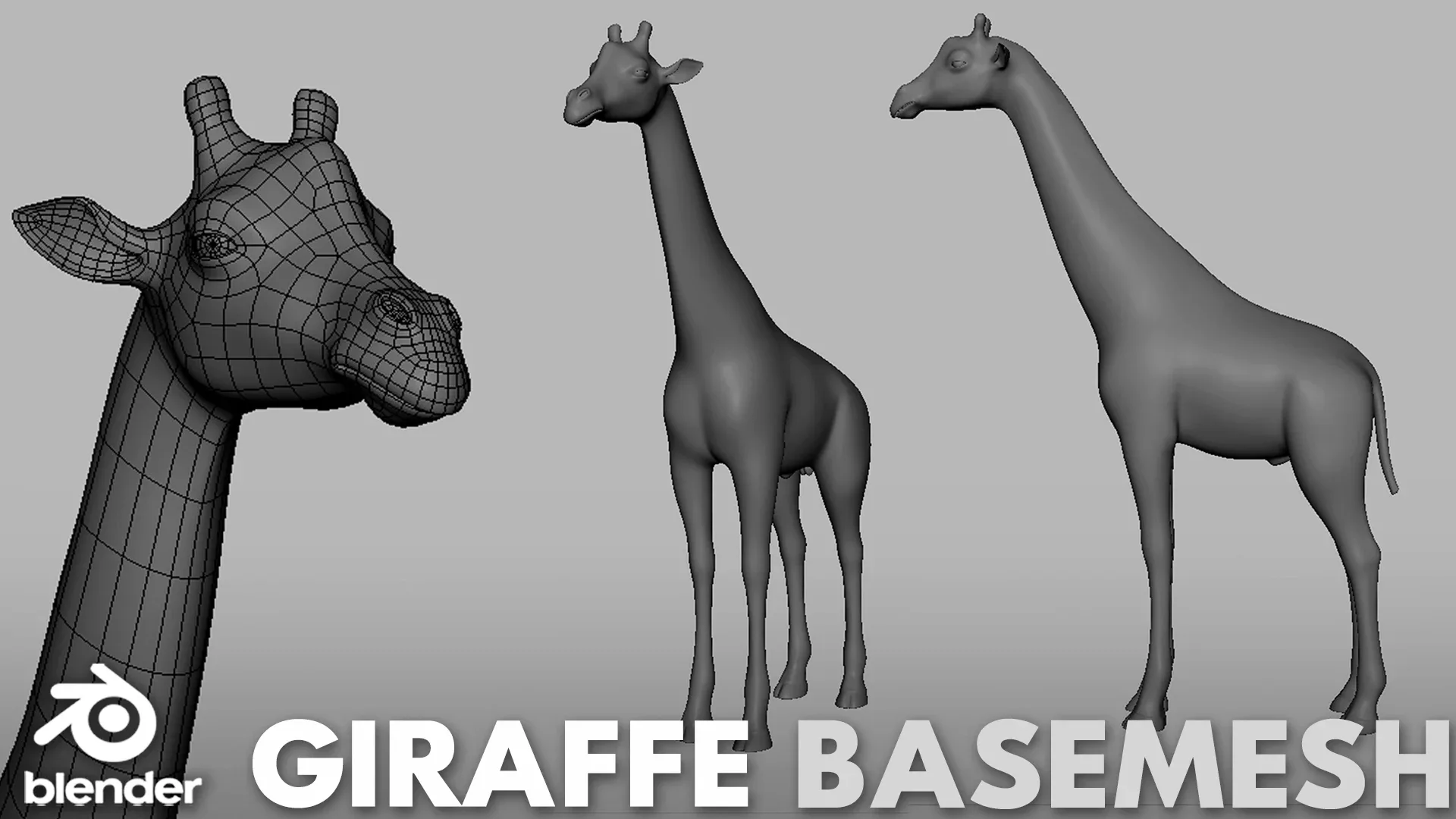 16 Wild Animals Collection