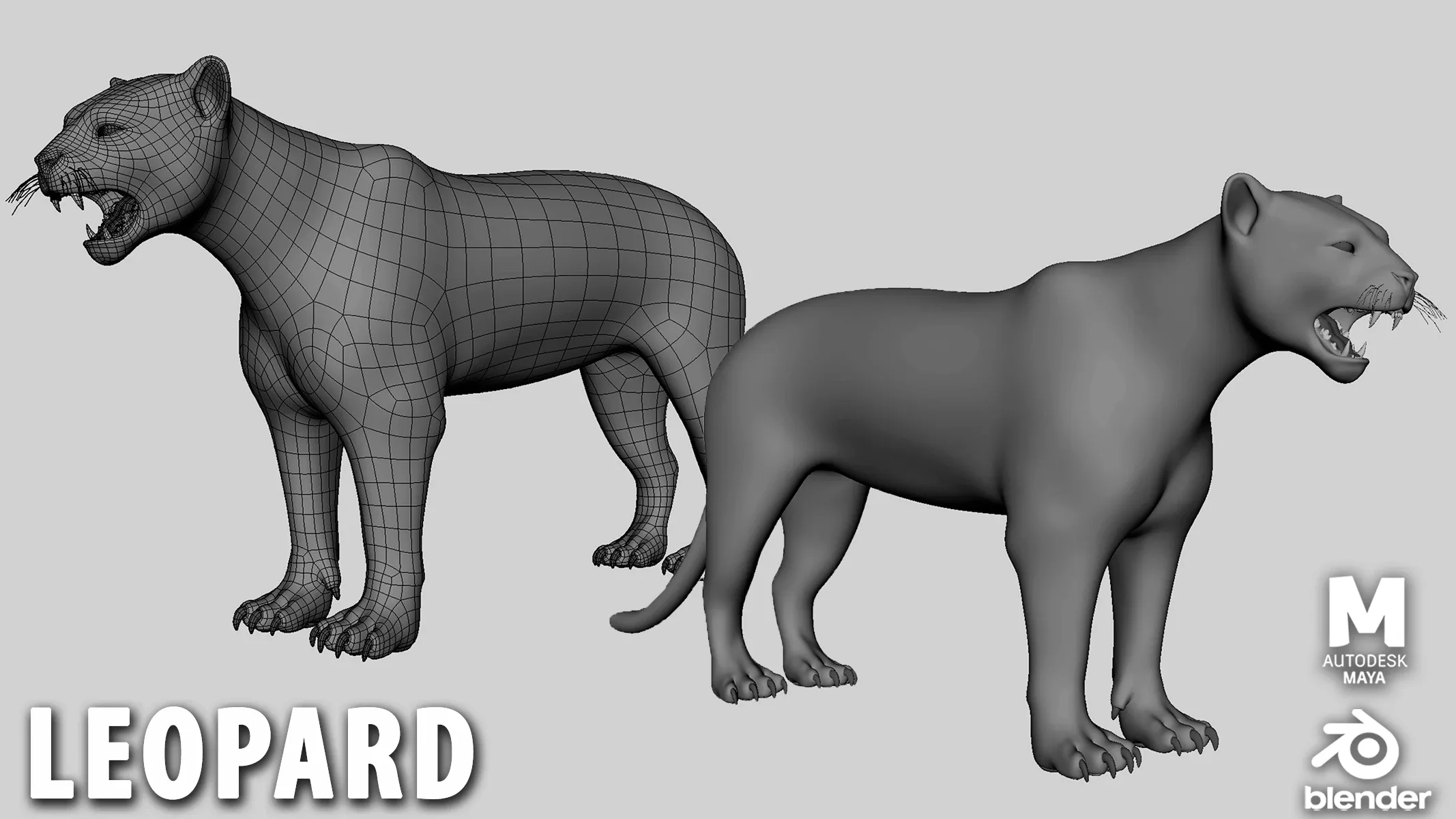 16 Wild Animals Collection
