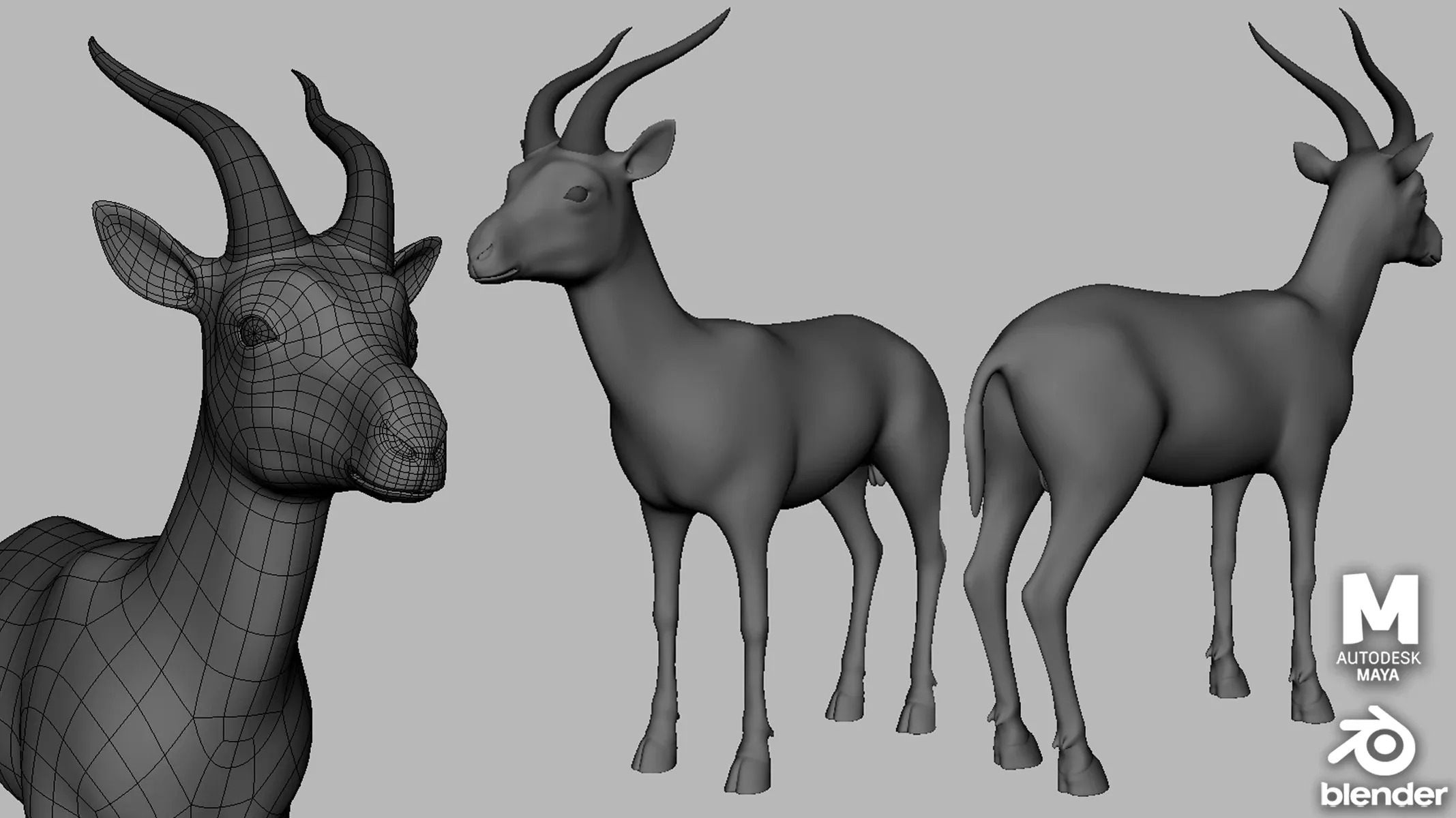 16 Wild Animals Collection