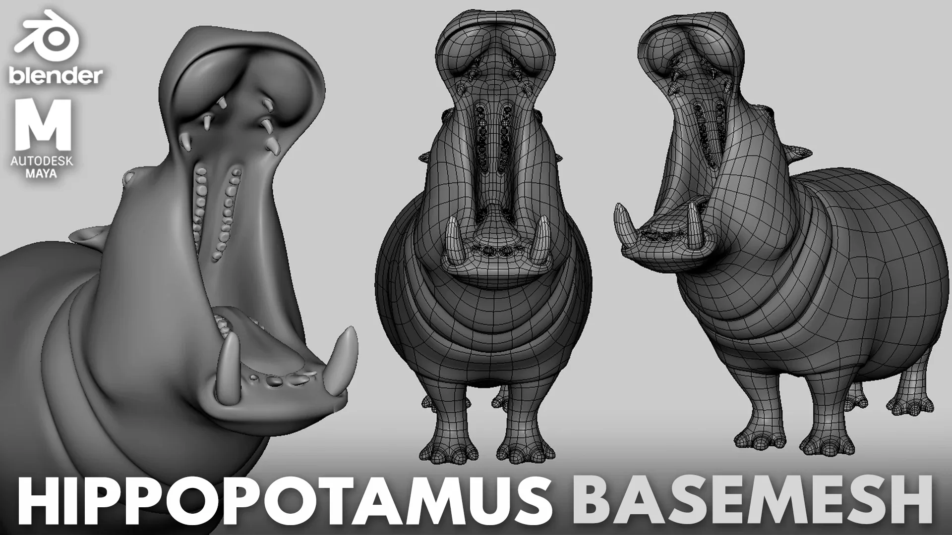 Animals Basemesh ( Rhino, Giraffe, Elephant, Buffalo, Hippopotamus, Wildebeest, Zebra, Male & Female Lion, Cheetah, Leopard, Hyena, Gazelle, Warthog, Monkey, Crocodile)