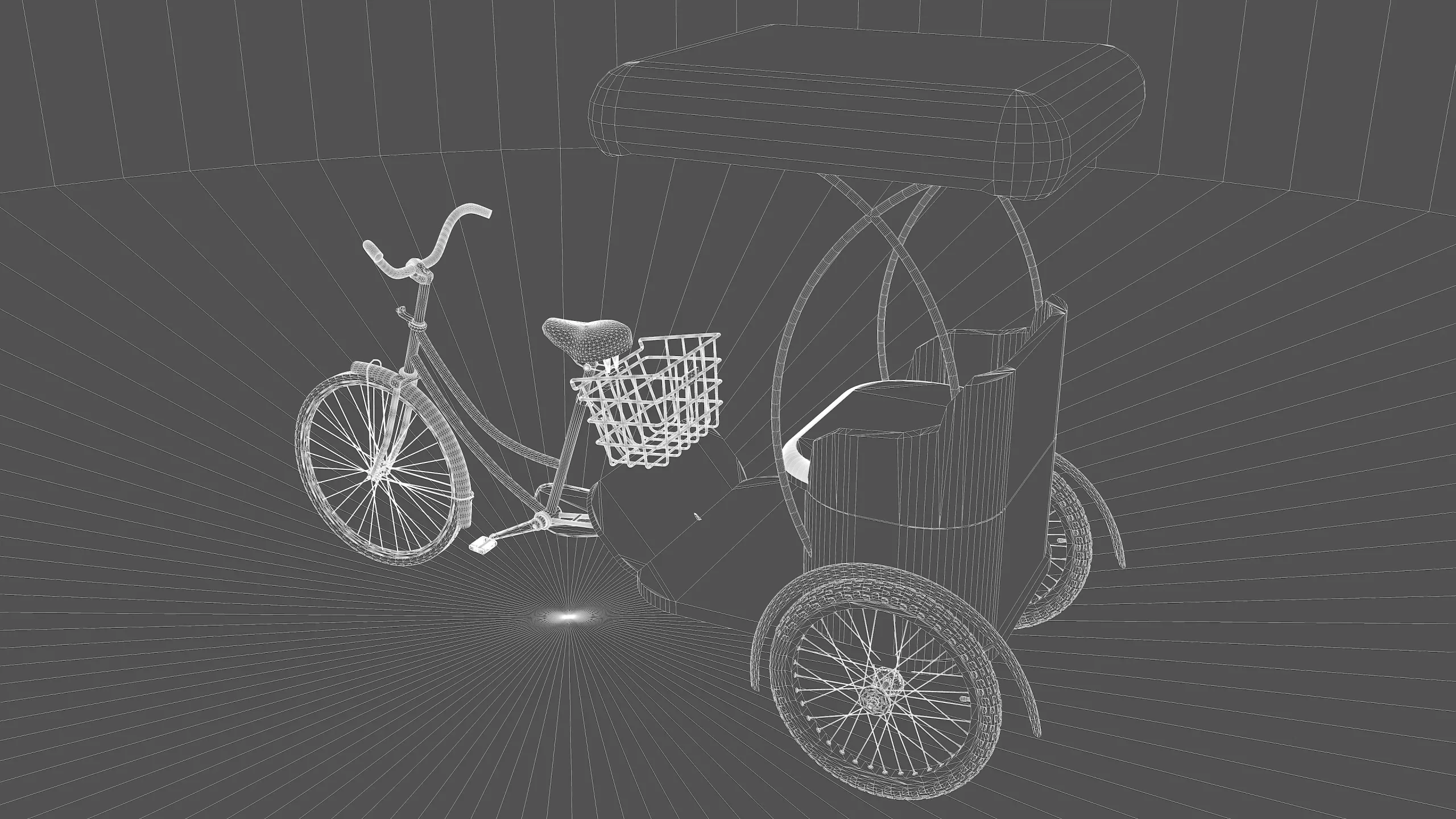 Bike Rickshaw 7 - 4K