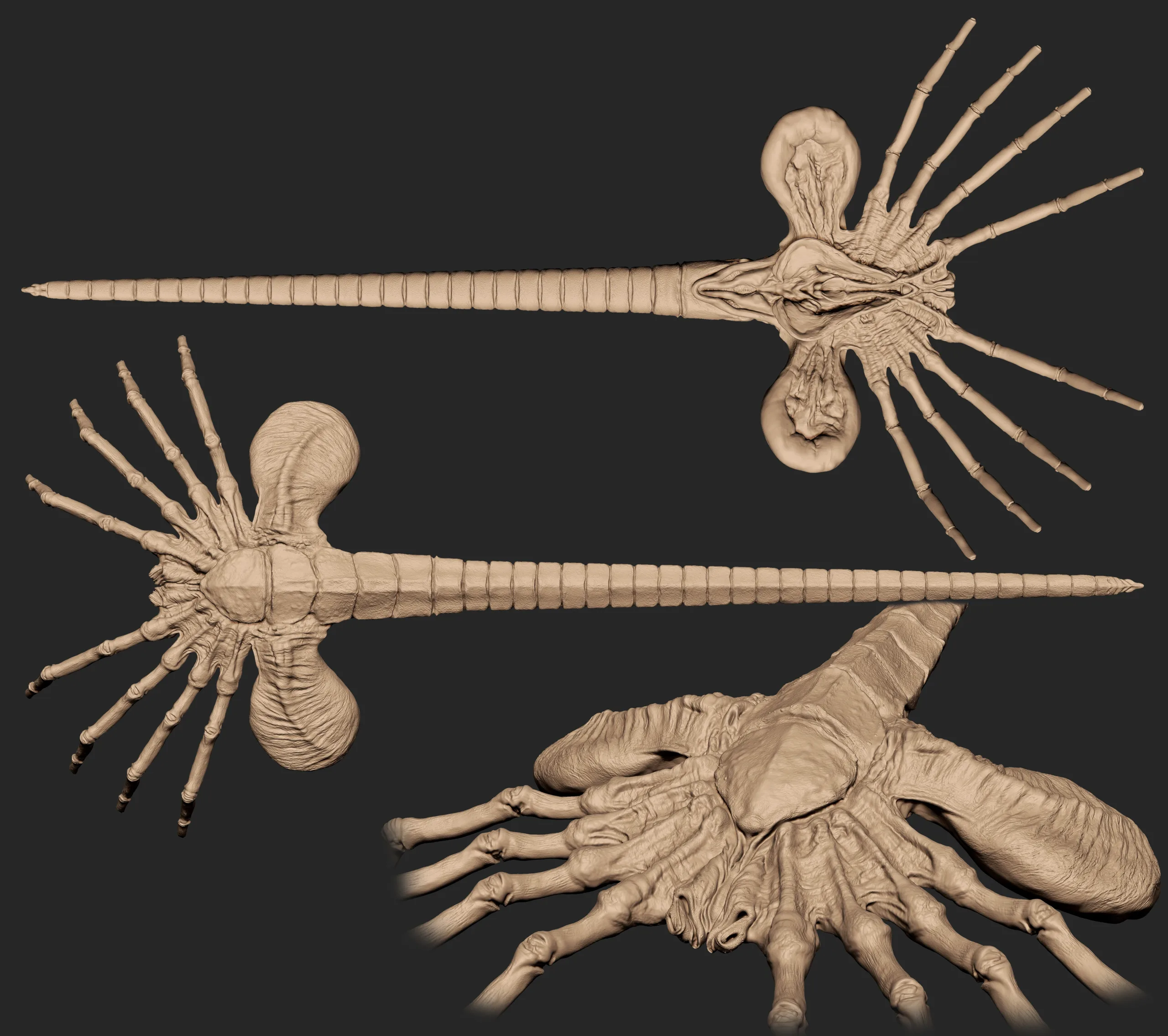 Facehugger model