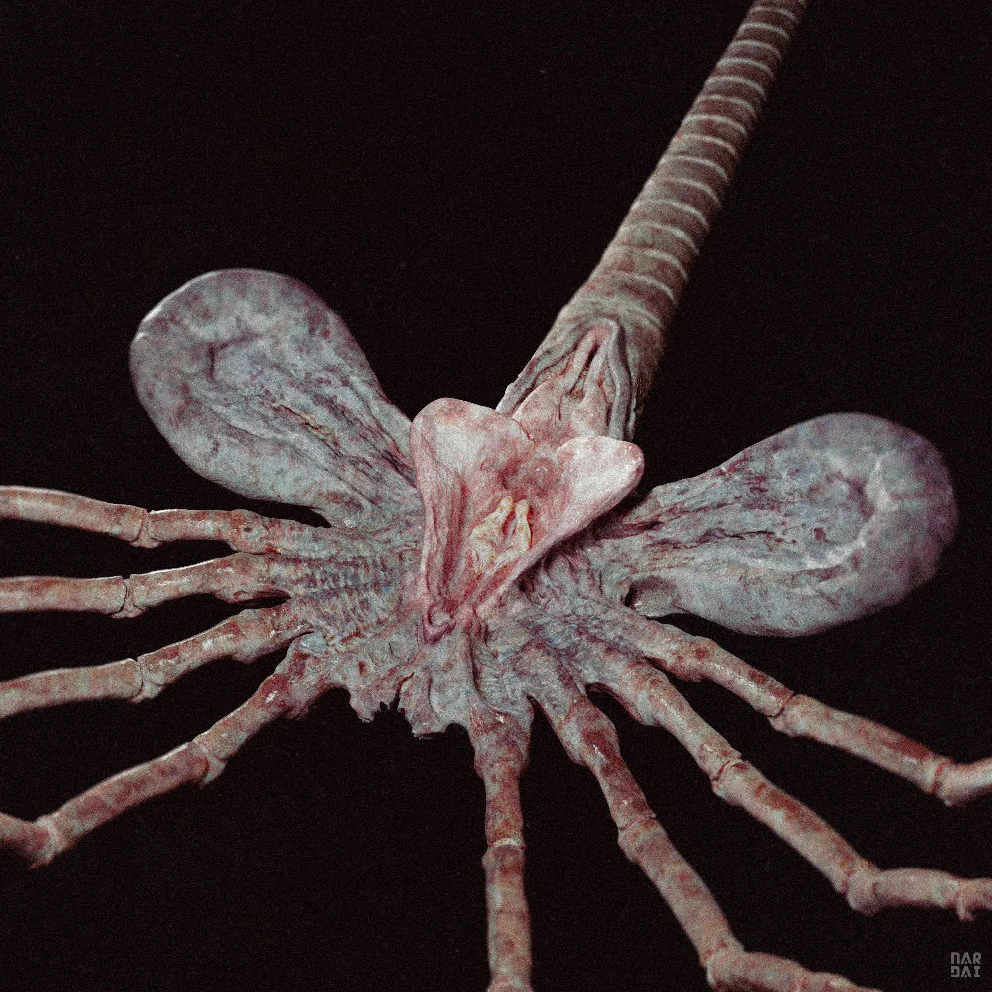 Facehugger model