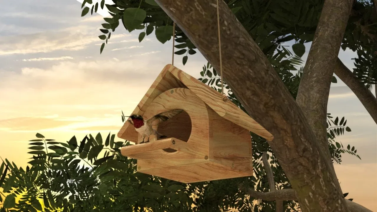 Bird House in Forest