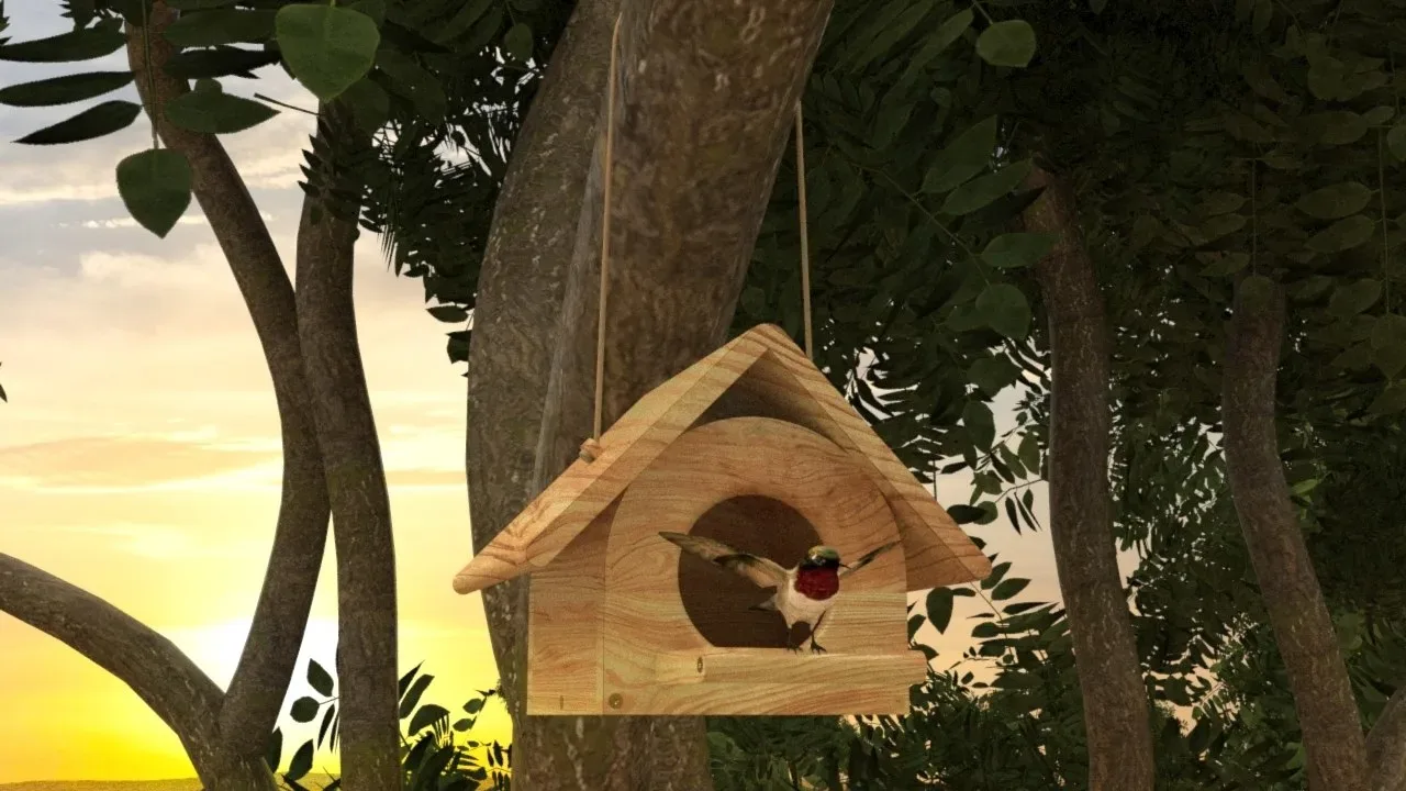 Bird House in Forest