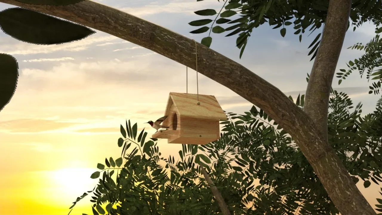 Bird House in Forest