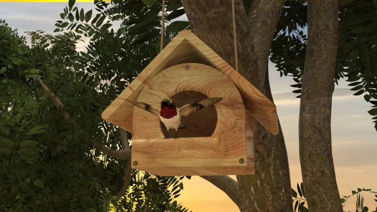 Bird House in Forest