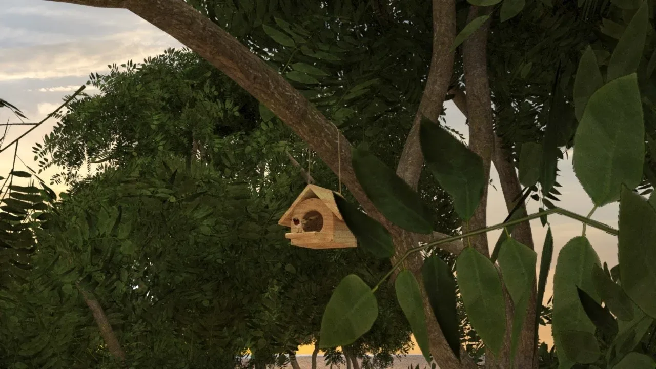 Bird House in Forest