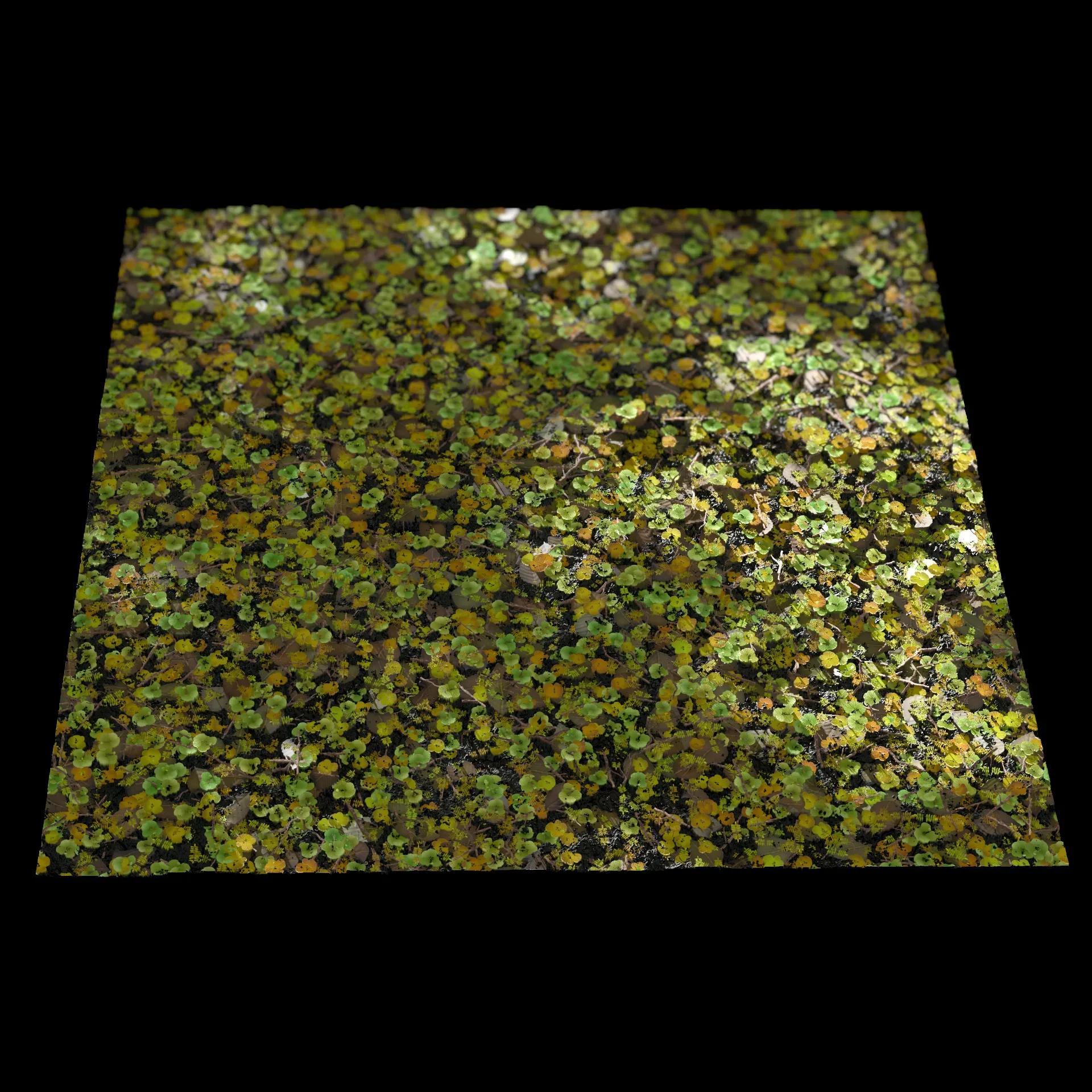 Substance Designer Tutorial | Forest Floor