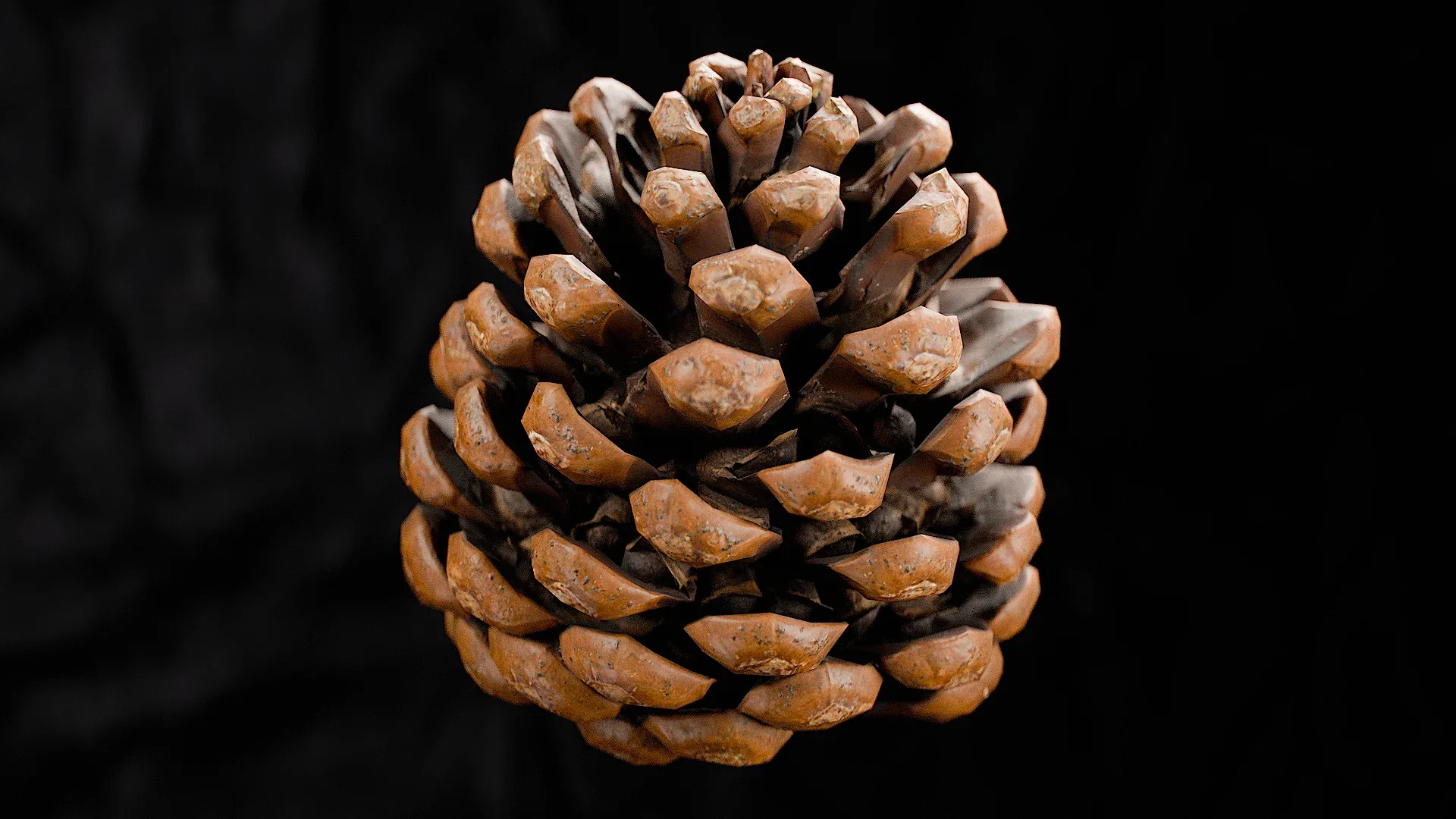 Pinecone