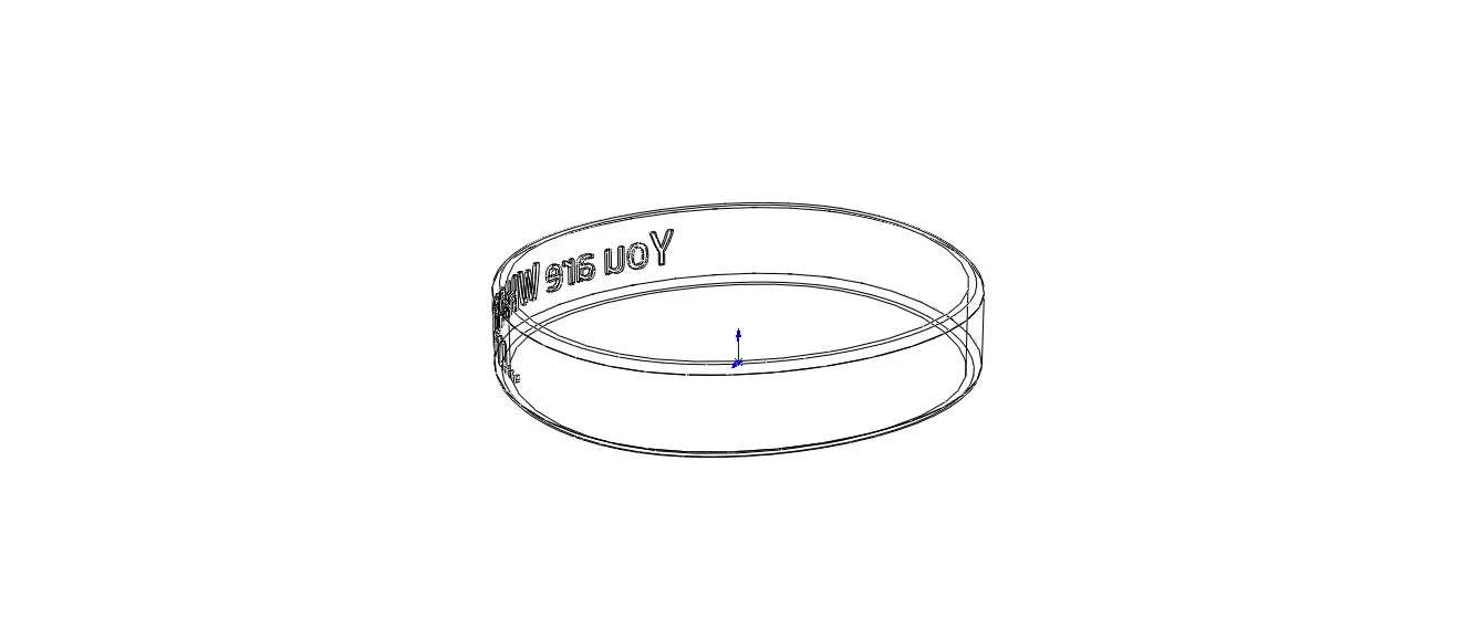 Classic Silicone Wristband